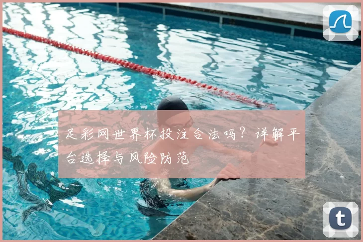 足彩网世界杯投注合法吗?详解平台选择与风险防范
