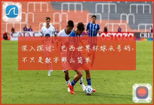 深入探讨：巴西世界杯球衣号码，不只是数字那么简单