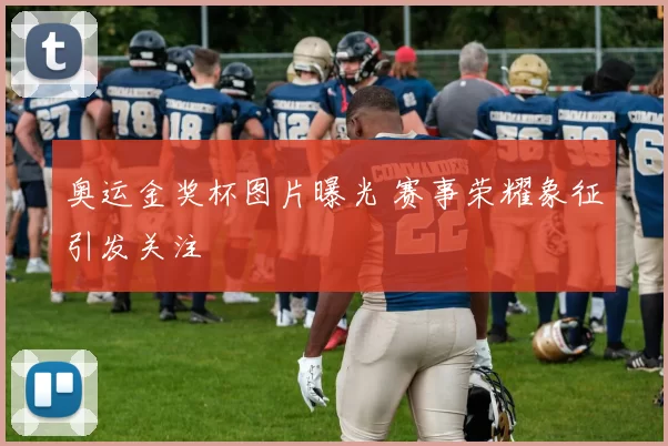 奥运金奖杯图片曝光 赛事荣耀象征引发关注