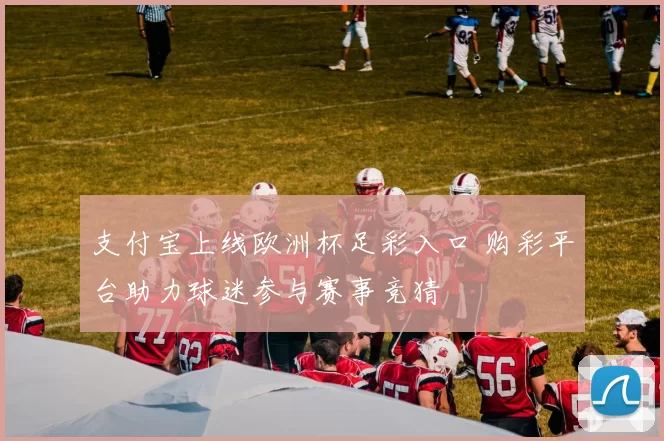 支付宝上线欧洲杯足彩入口 购彩平台助力球迷参与赛事竞猜