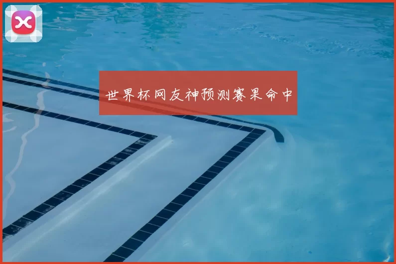 世界杯网友神预测赛果命中