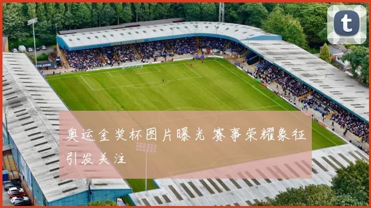 奥运金奖杯图片曝光 赛事荣耀象征引发关注