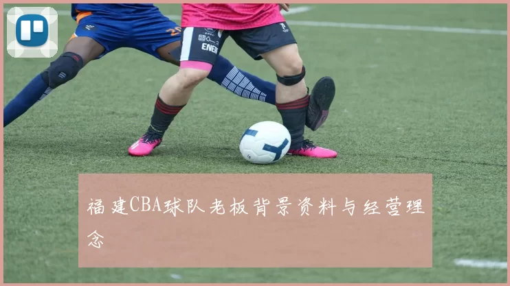 福建CBA球队老板背景资料与经营理念