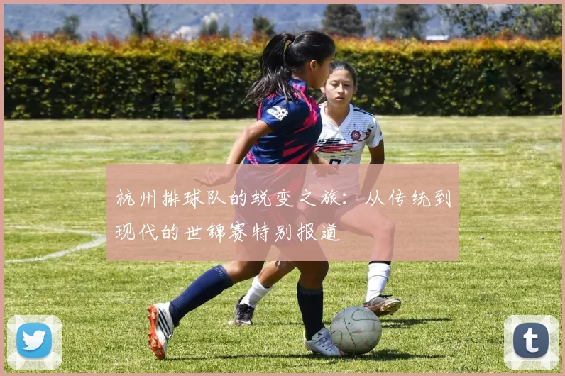 杭州排球队的蜕变之旅:从传统到现代的世锦赛特别报道