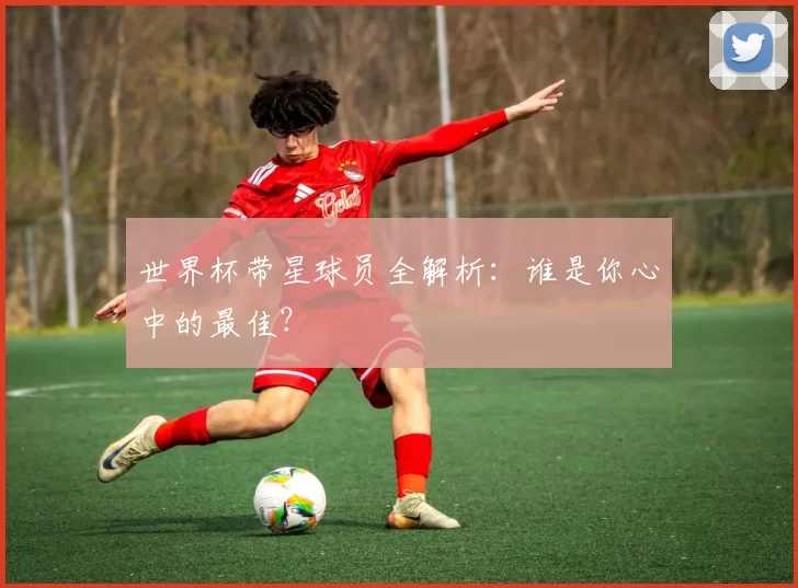 世界杯带星球员全解析:谁是你心中的最佳?