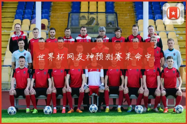 世界杯网友神预测赛果命中